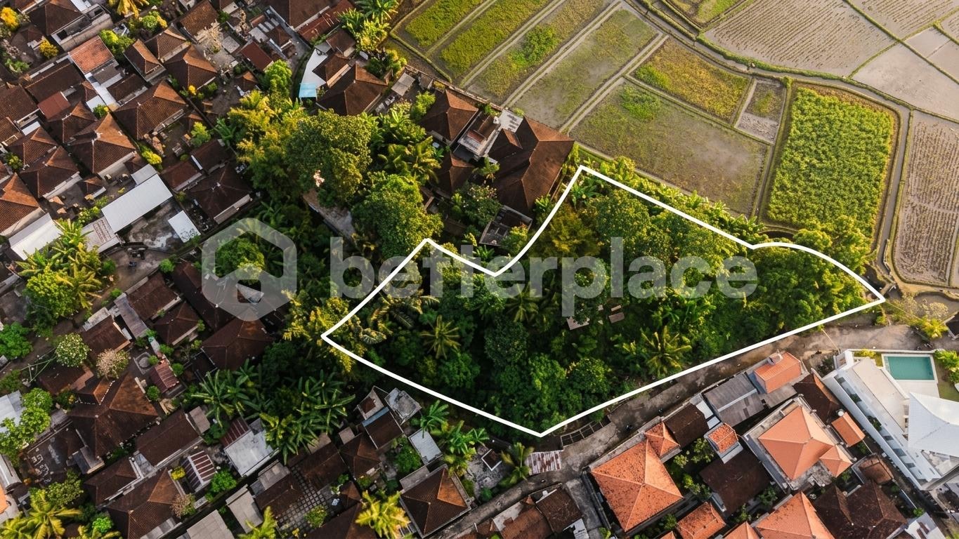 Invest Where Bali Is Heading Next: Expansive Kaba Kaba Parcel with Mountain, Paddy and Sunset Frontage
