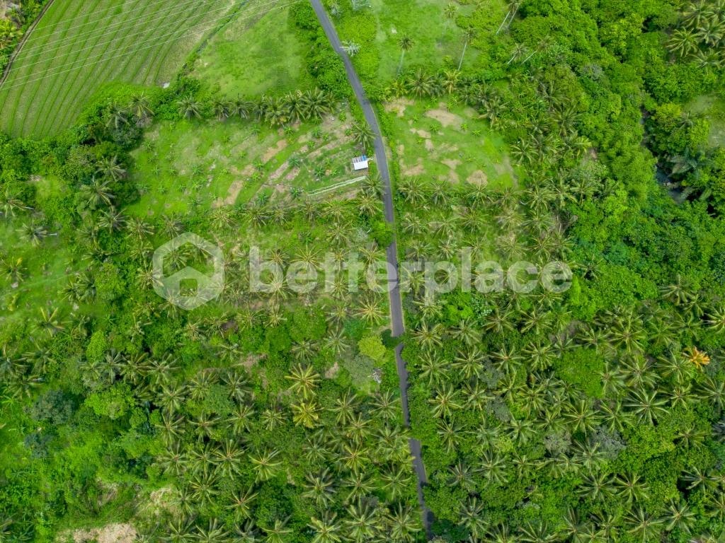 Discover Peaceful Living in Bali – Stunning 2,990 sqm Freehold Land in Balian with Lush Jungle and River Views