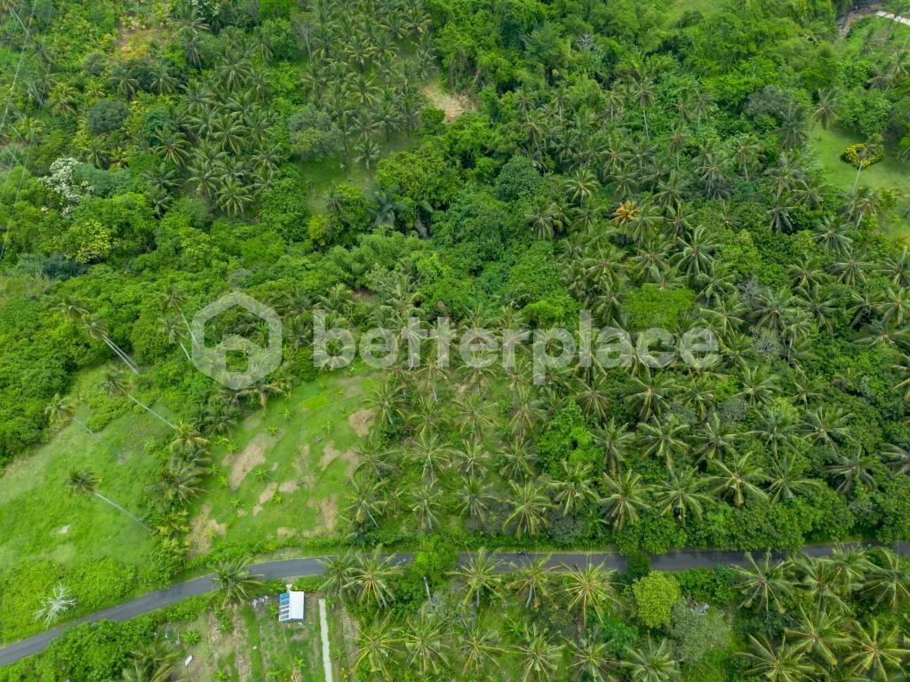 Discover Peaceful Living in Bali – Stunning 2,990 sqm Freehold Land in Balian with Lush Jungle and River Views