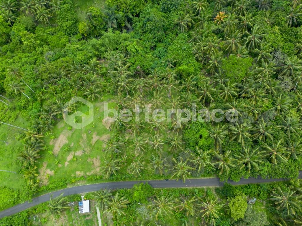Discover Peaceful Living in Bali – Stunning 2,990 sqm Freehold Land in Balian with Lush Jungle and River Views