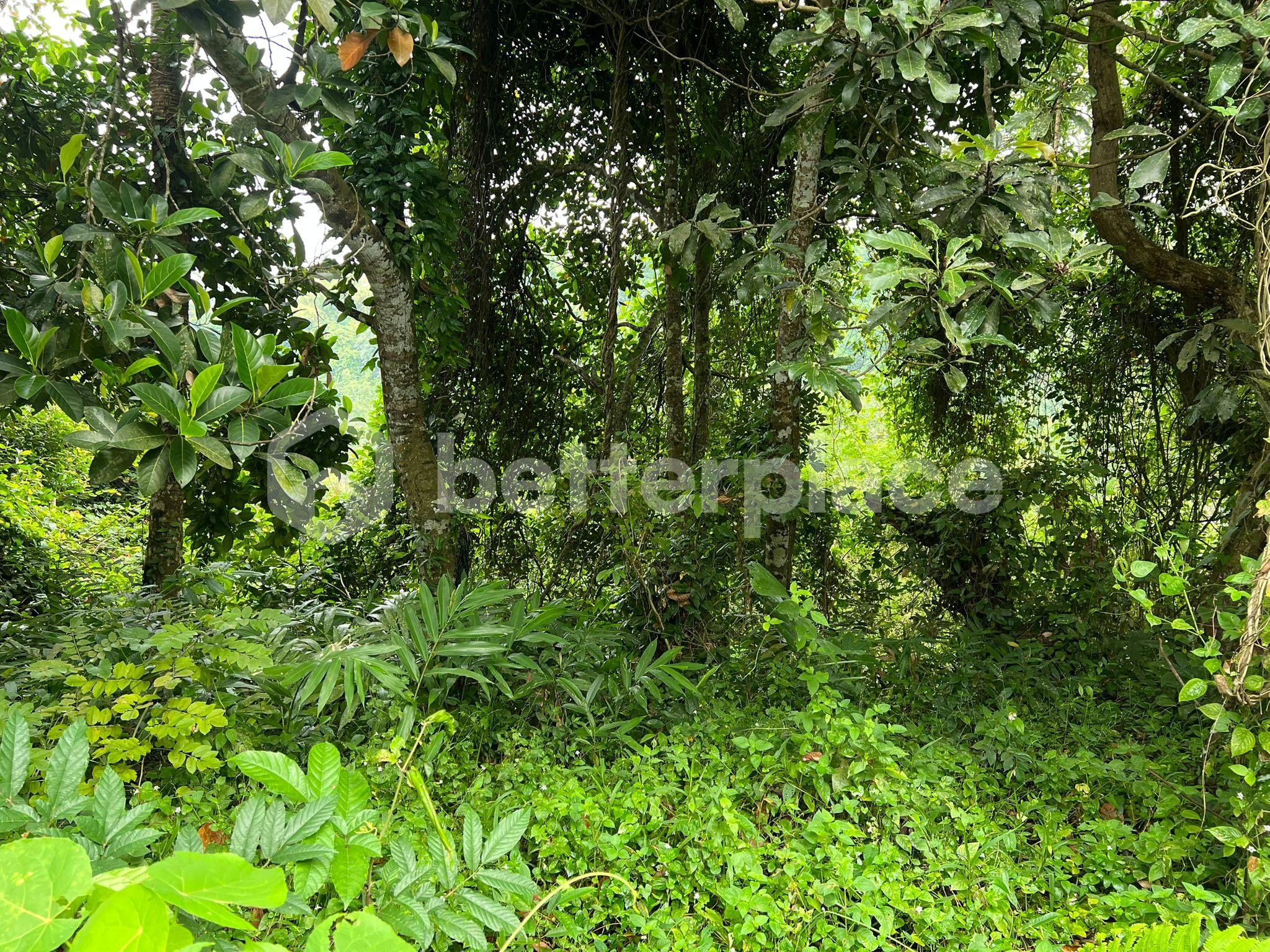 Investment Opportunity, 1,900 sqm Land in Ubud, Pejeng
