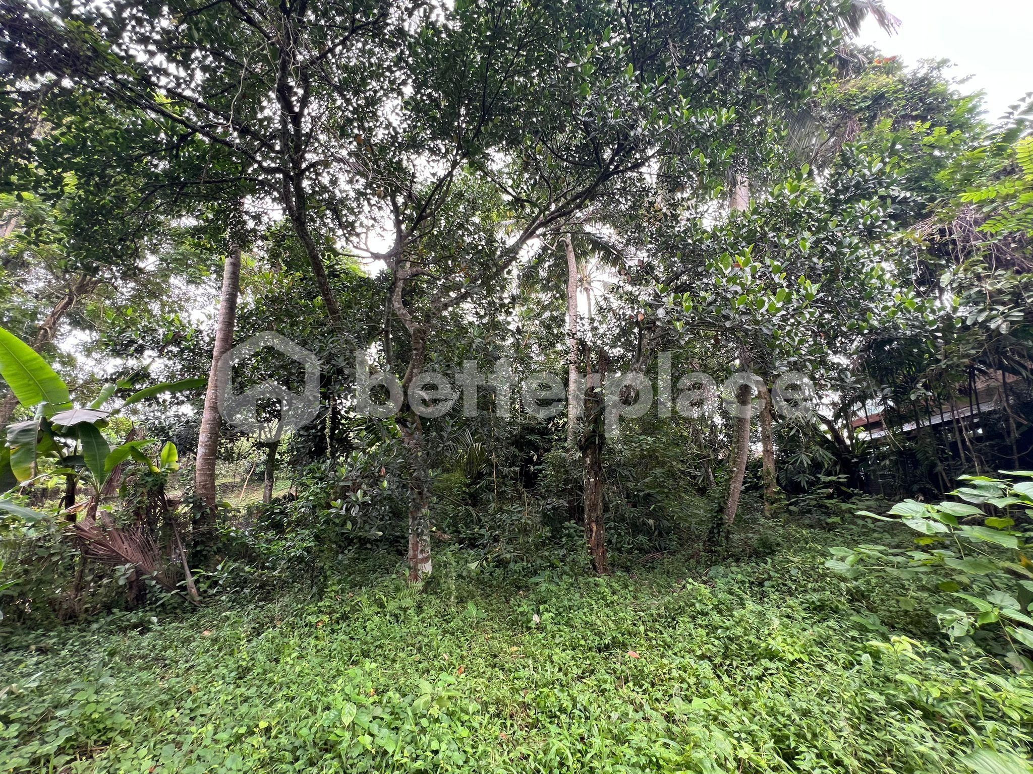 Investment Opportunity, 1,900 sqm Land in Ubud, Pejeng