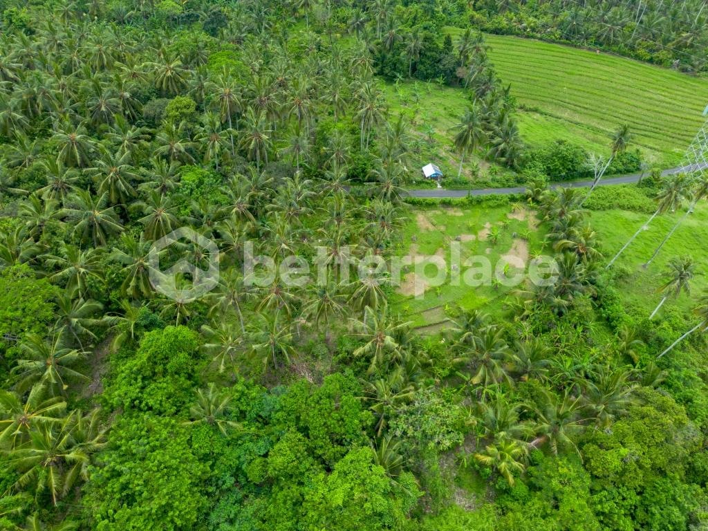 Discover Peaceful Living in Bali – Stunning 2,990 sqm Freehold Land in Balian with Lush Jungle and River Views