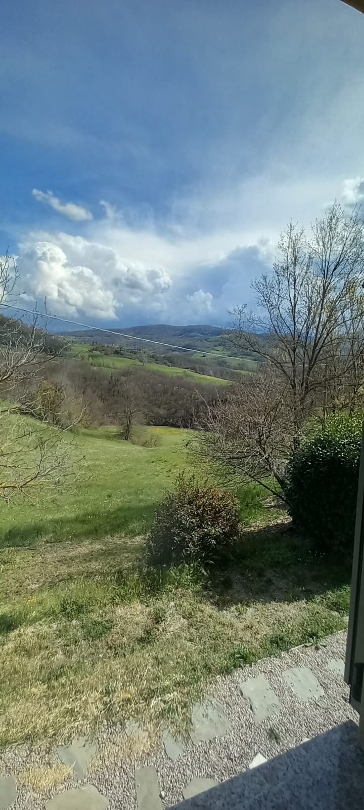 Estate with 2 Houses for Sale In Roncaciso Reggio Emilia Italy