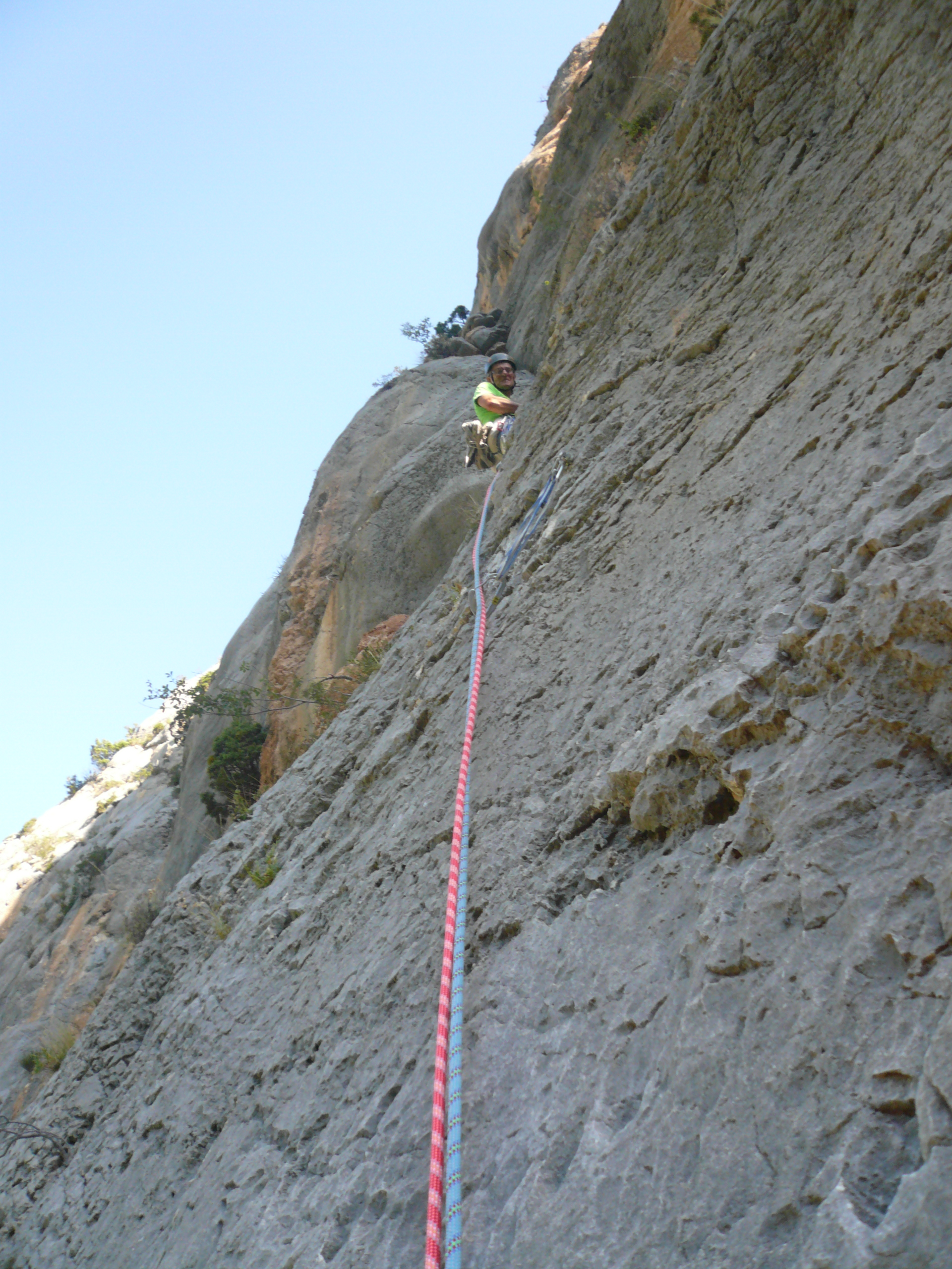 laispité positive (4)