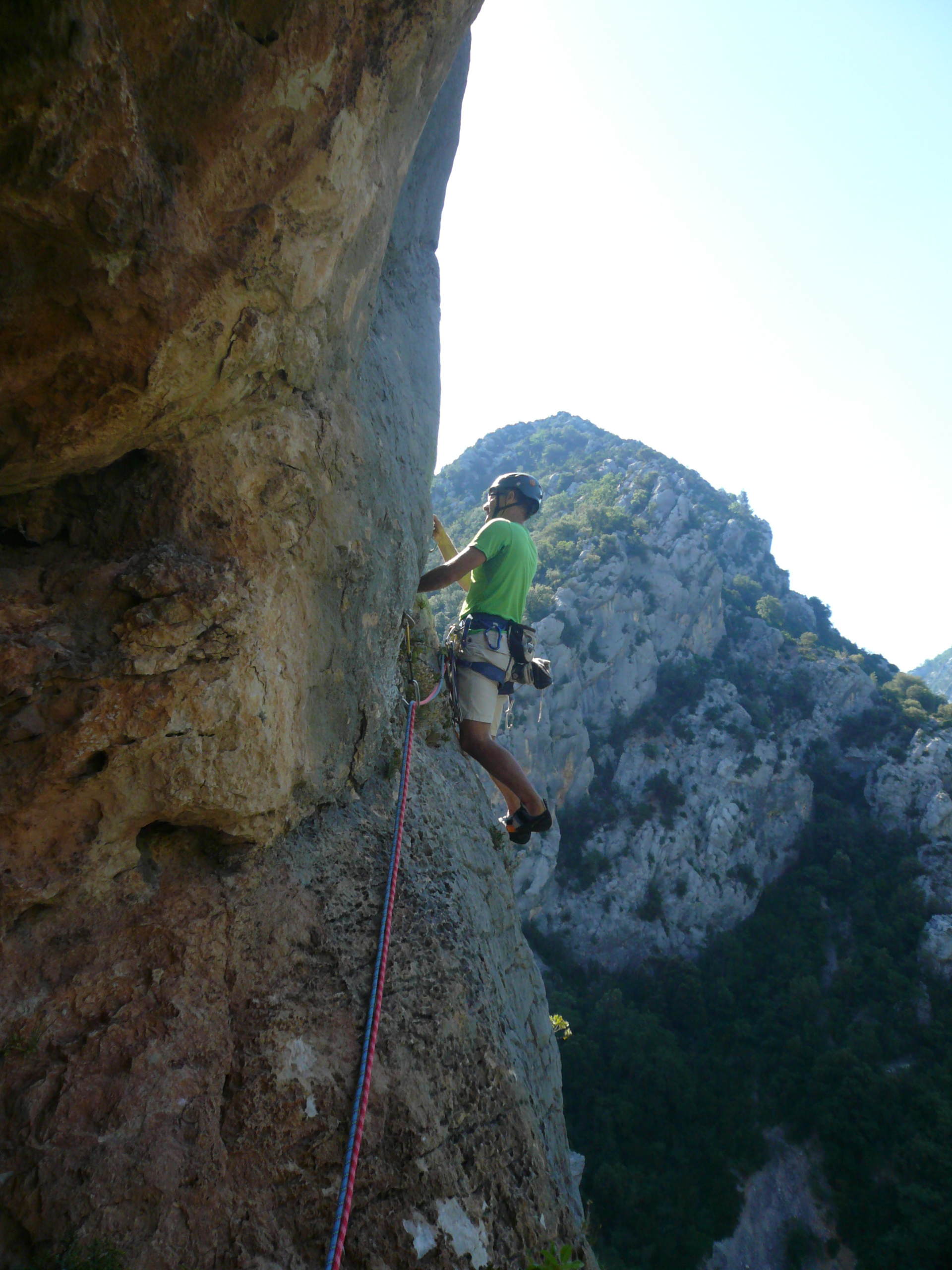 laispité positive (5)