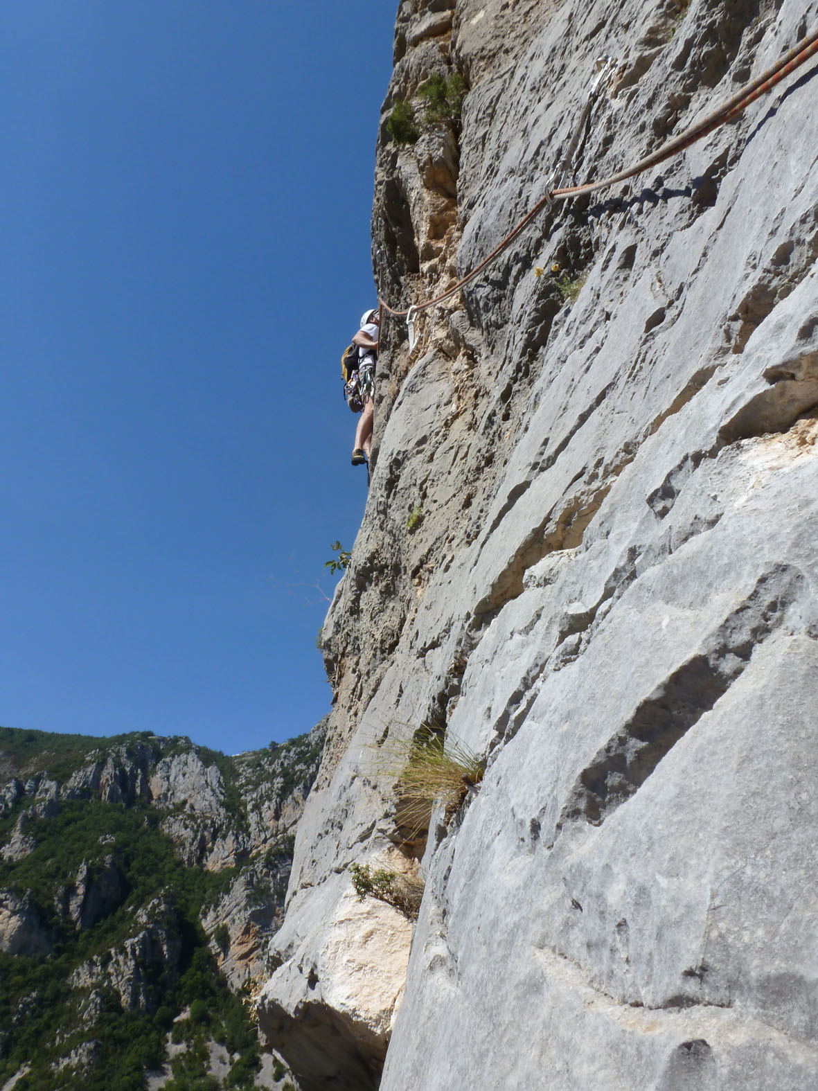 laispité positive (7)