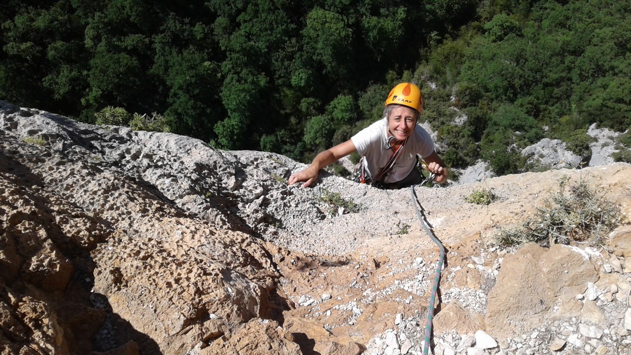 Laispité positive(7)