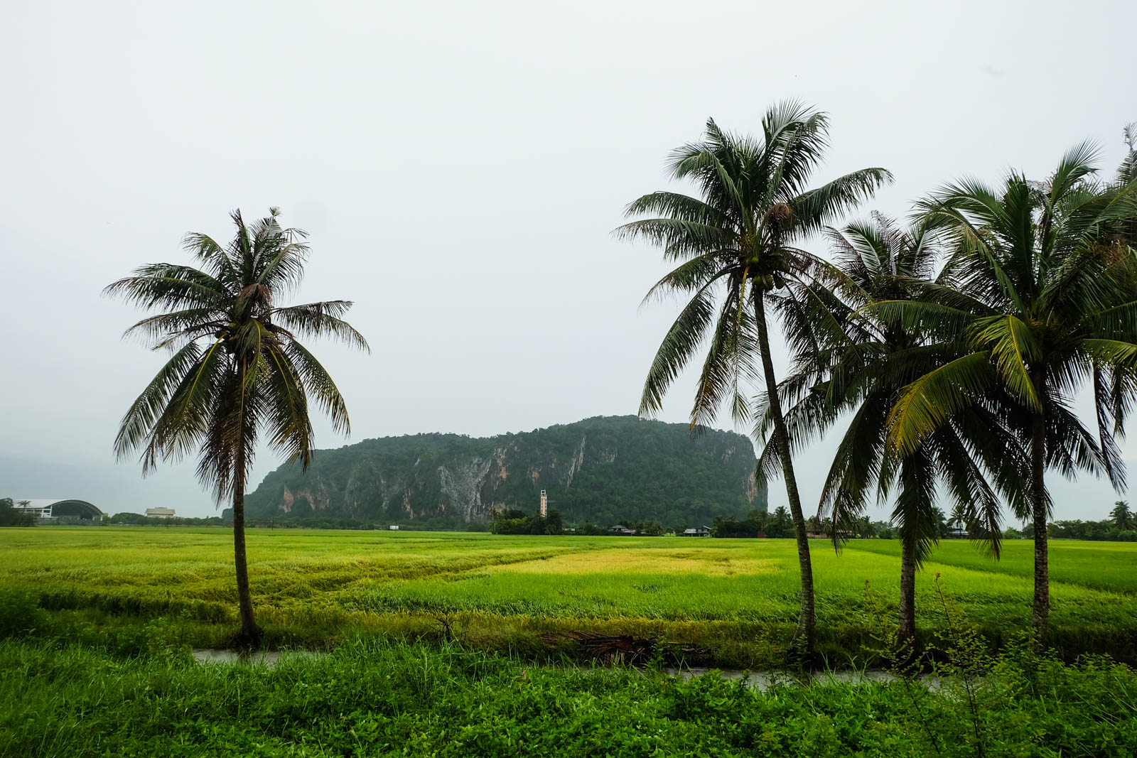 View of Gunung Keriang from the paddy fields