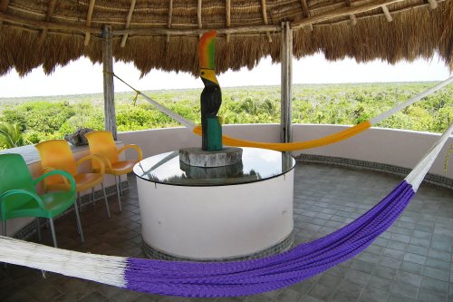 The hammocks are a perfect place to relax and enjoy the tropical setting