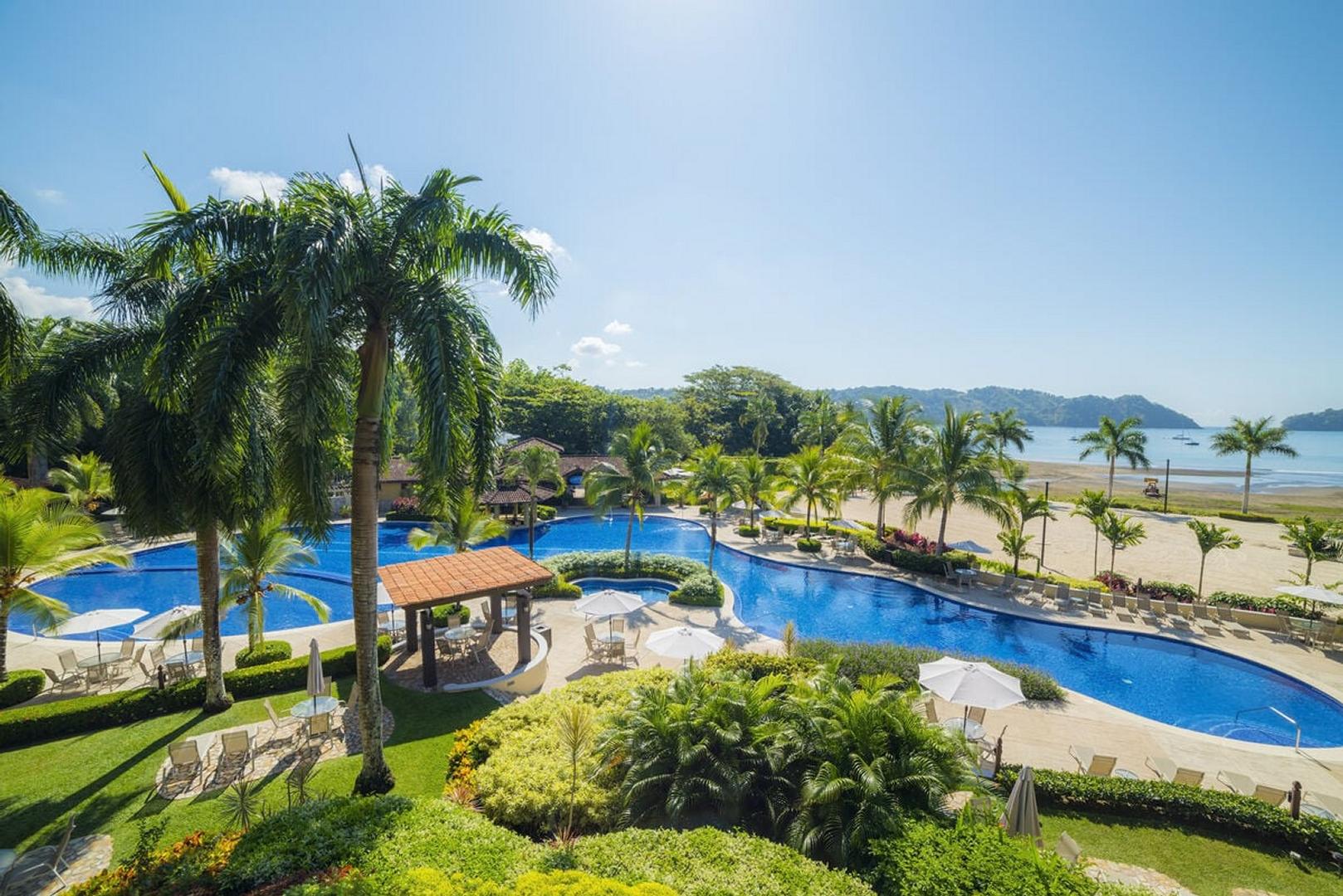 escape to the tropics