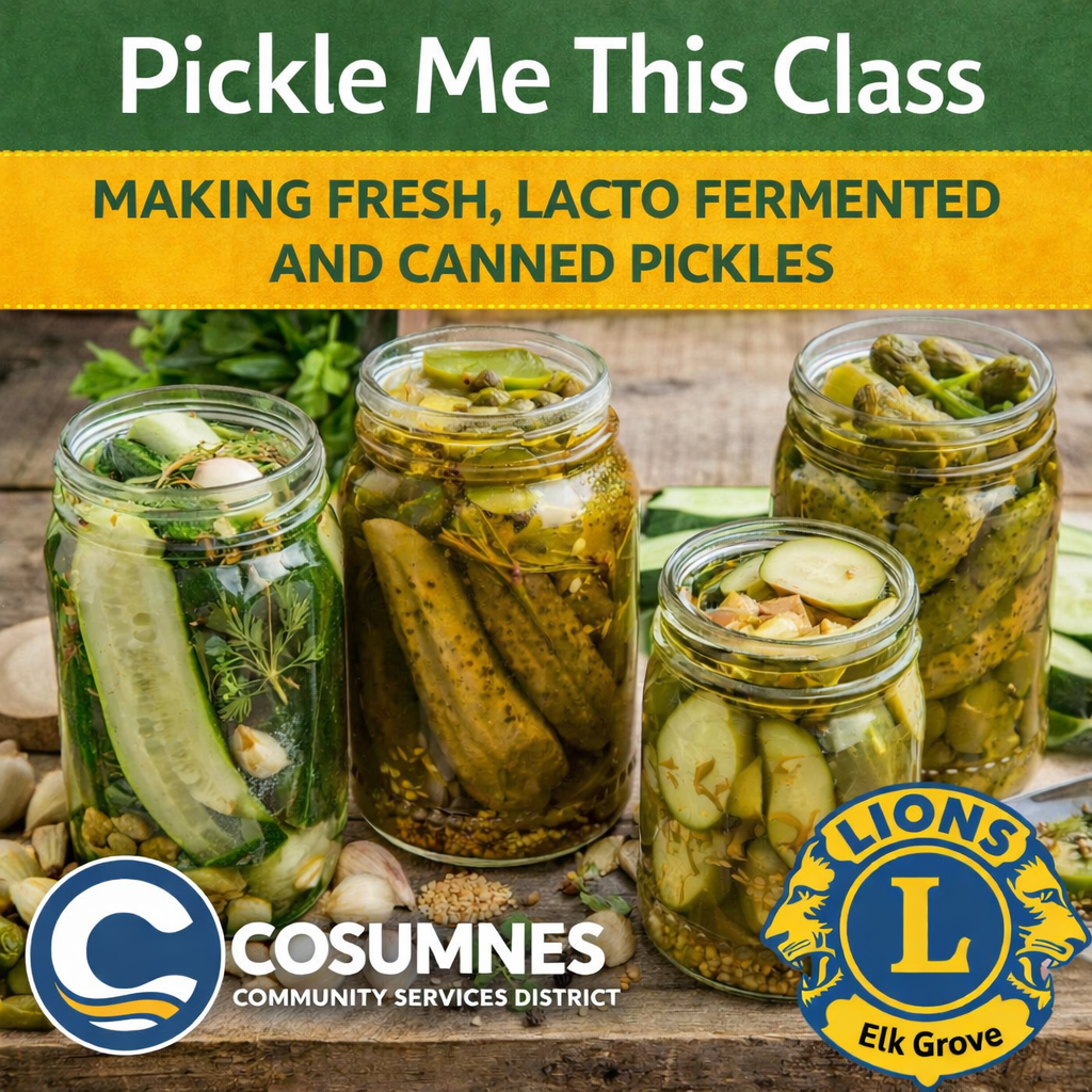 Pickle Me Class Flyer