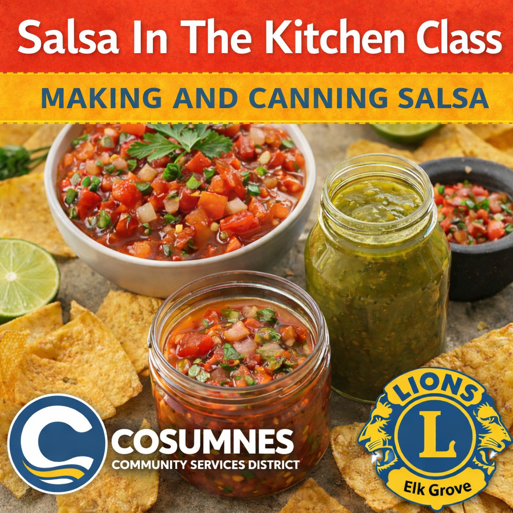 Salsa n the Kitchen Flyer