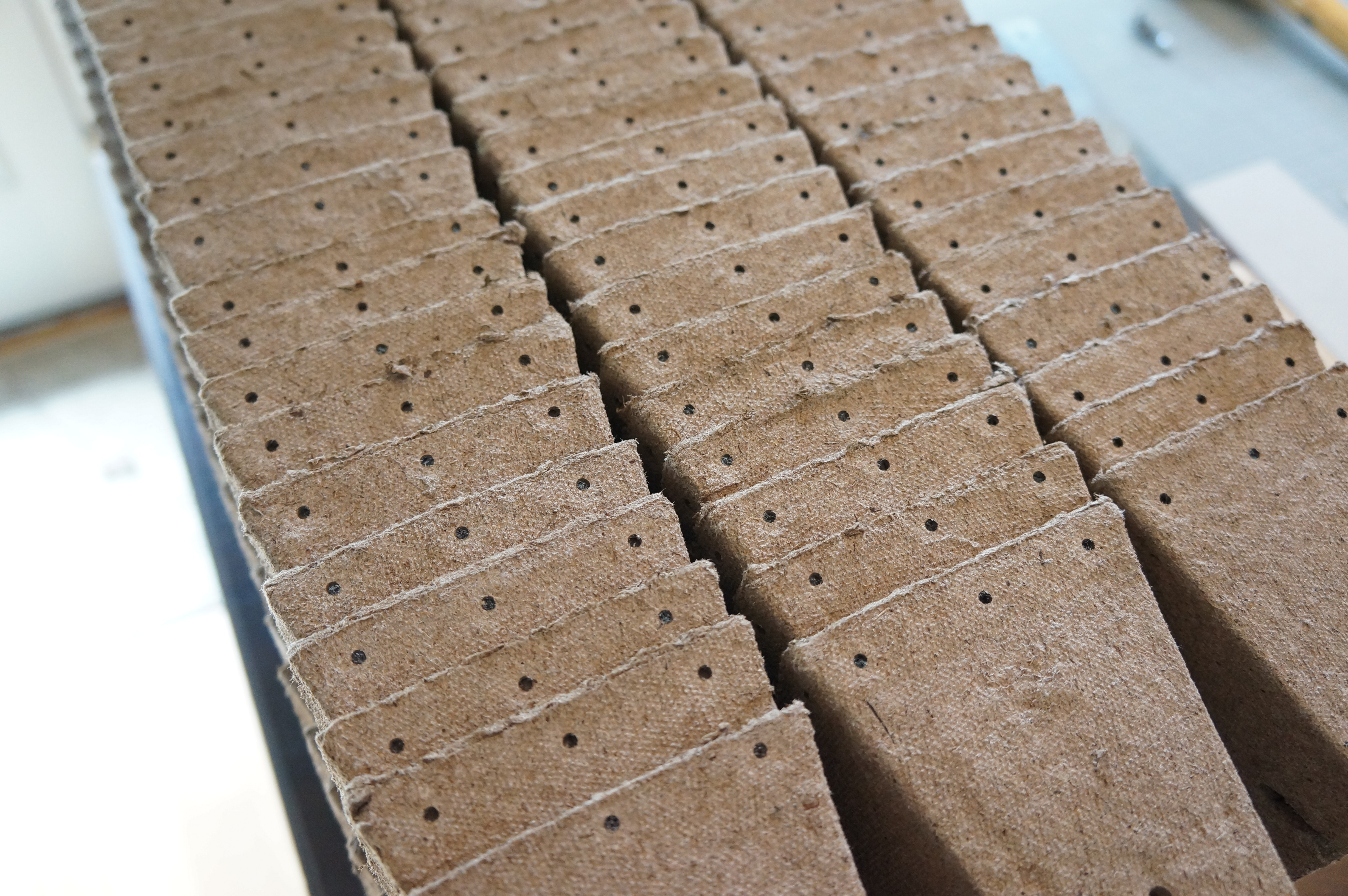 The perforated plant pots