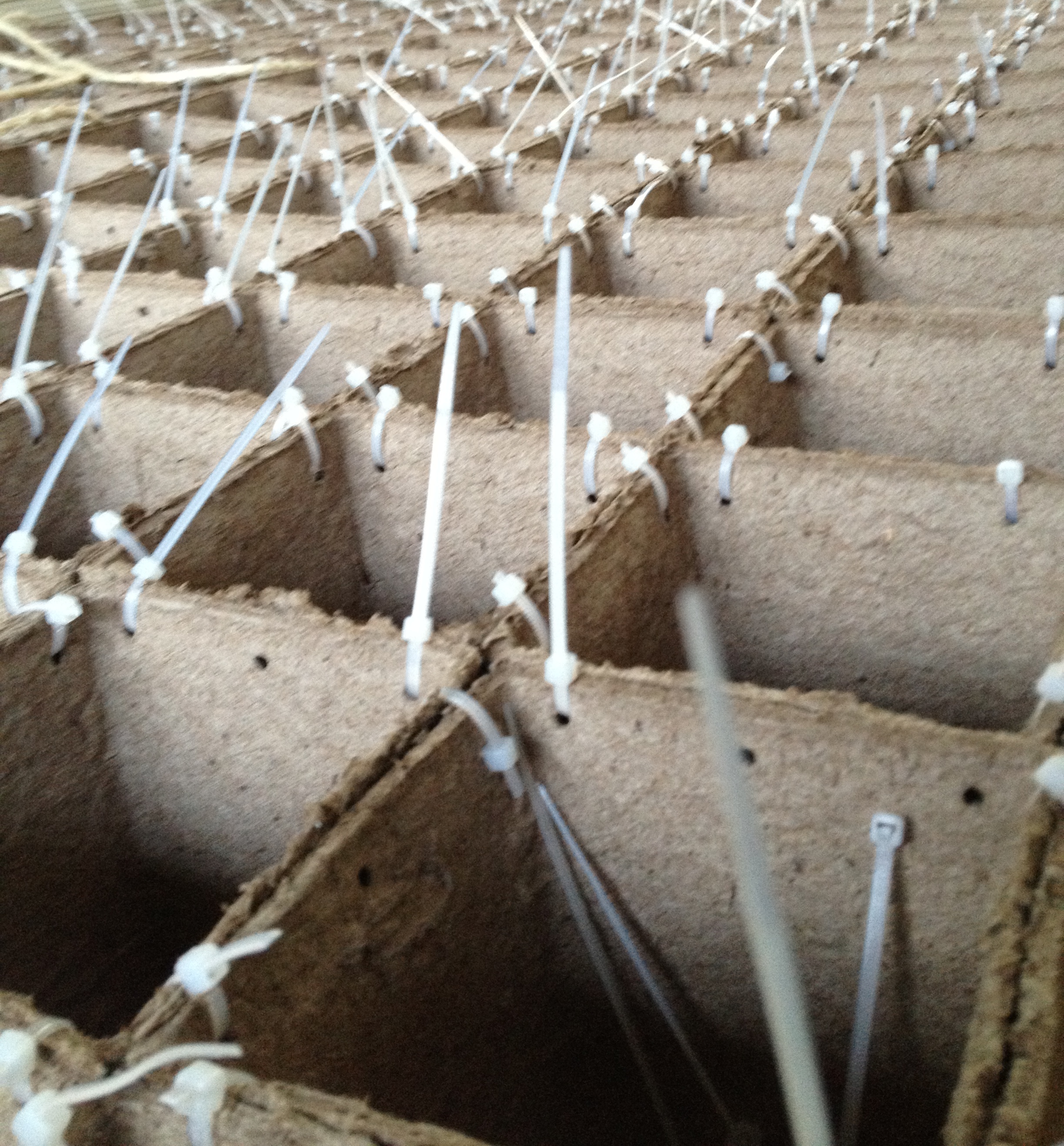 The exterior surface