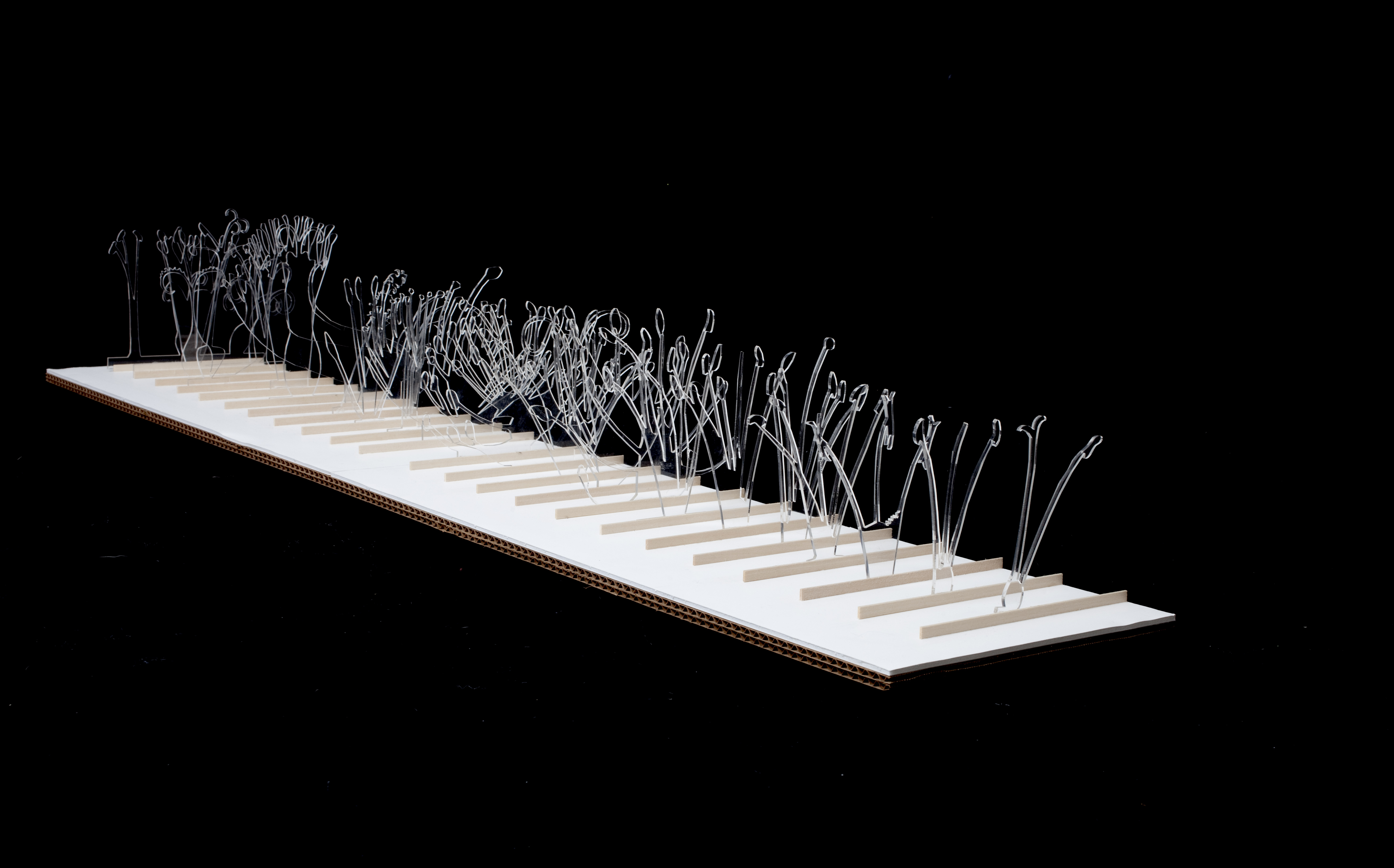 Detail of Linnaean order and classes of plants