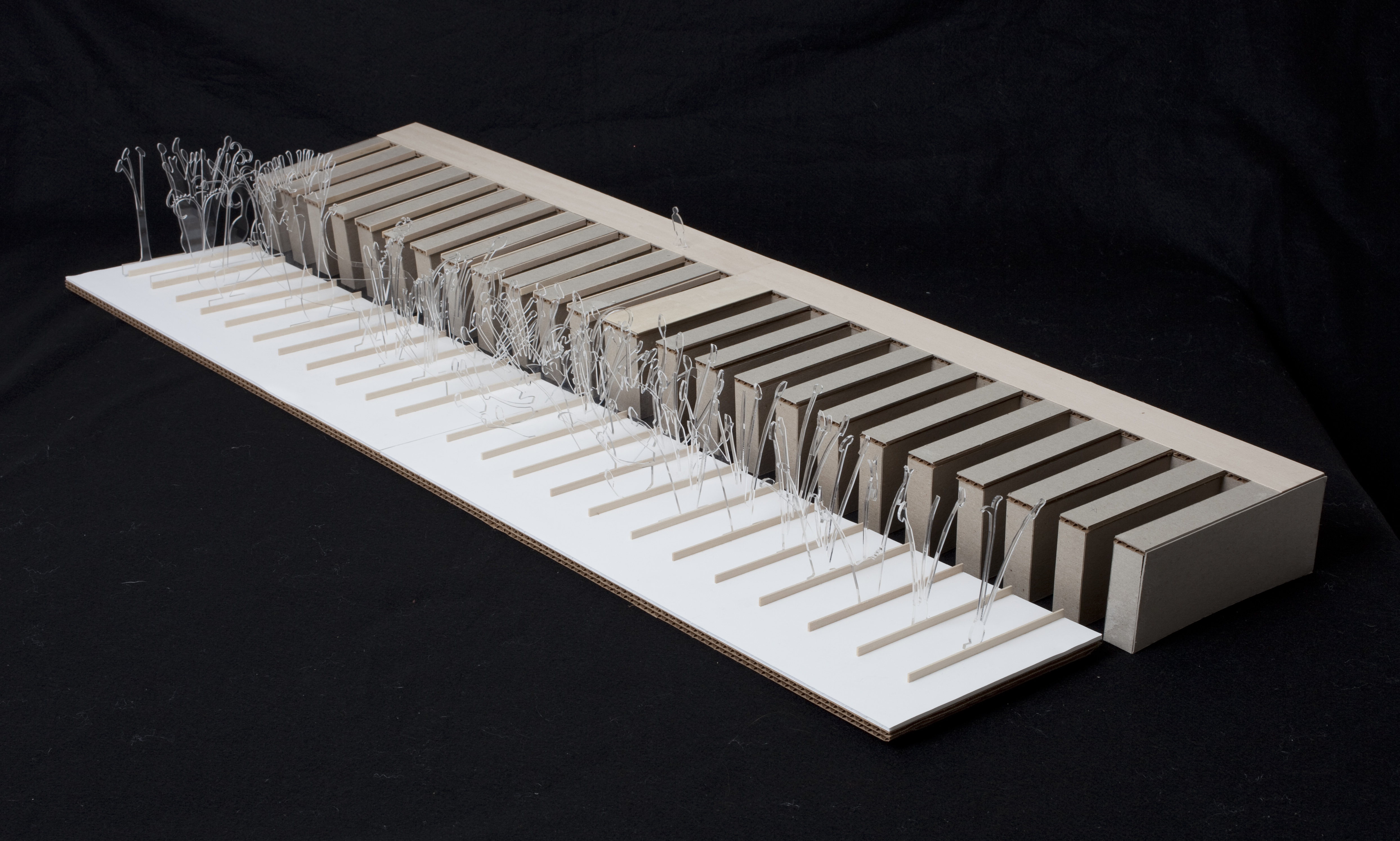 Linnaen's Systema Sexuale in Plexiglass