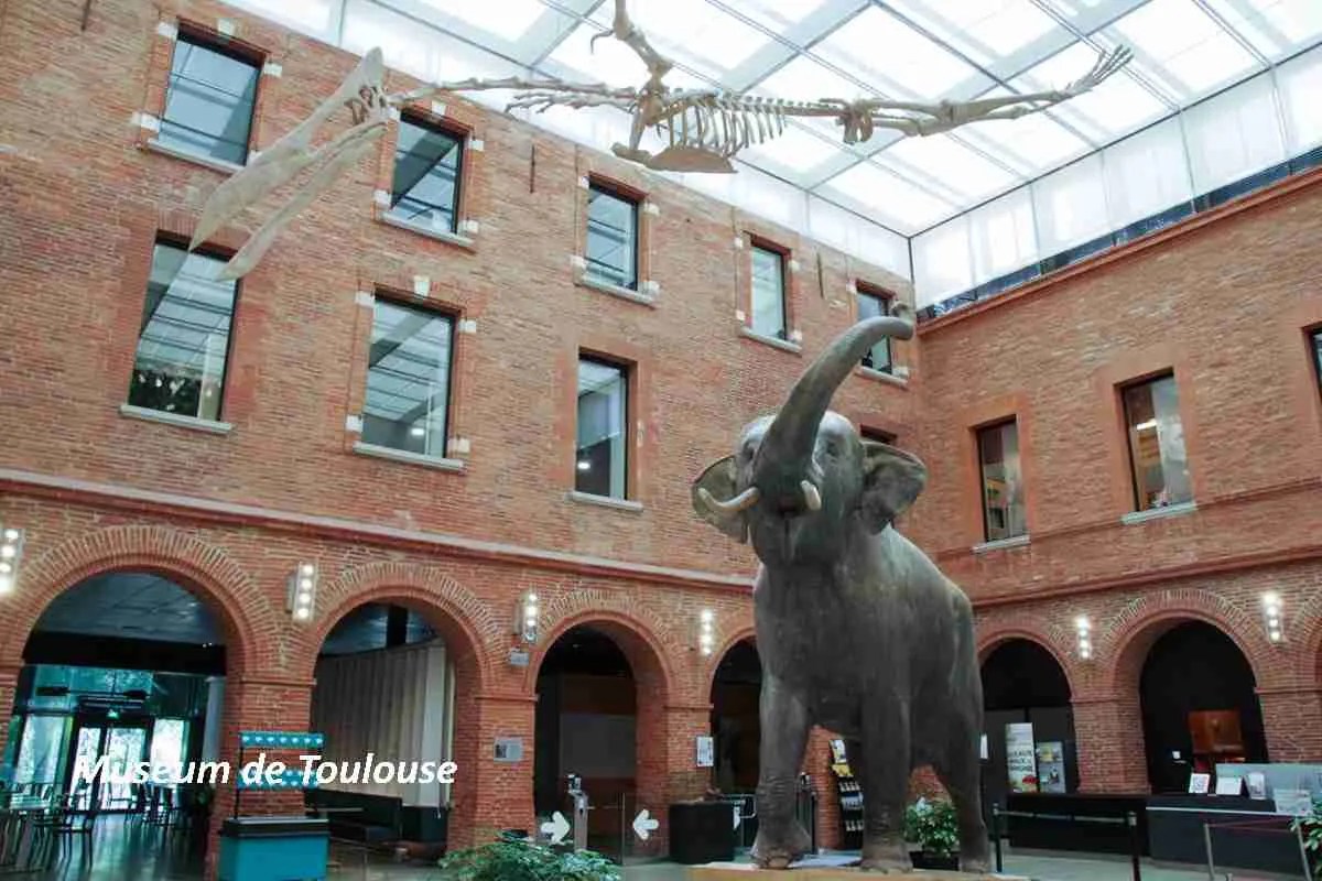 Museum de Toulouse