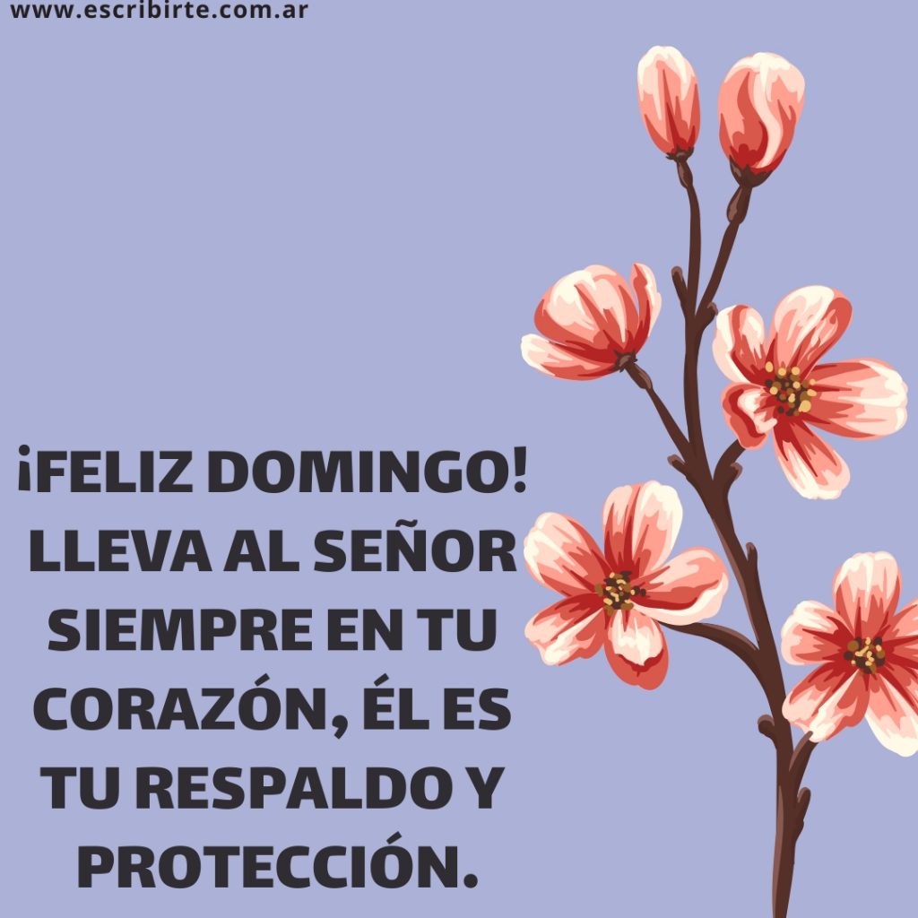 Frases e imágenes para desear ¡feliz domingo! para toda ocasión.