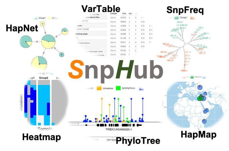 Swtnp Github - High Resolution Geometric Illustrations for Desktop