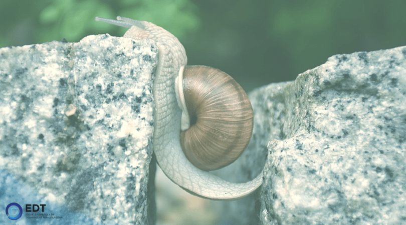 en el camino de nuestras vidas encontramos obstáculos que nos impiden alcanzar nuestras metas. Practica El Obstaculo Es El Camino Blog 360 Escuela Transpersonal