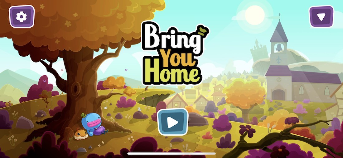 Bring You Home