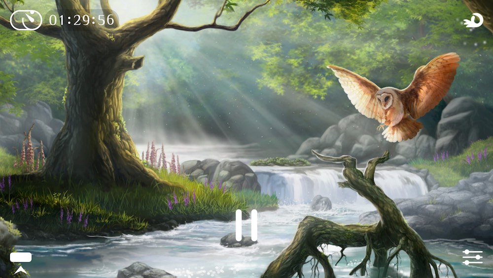 Flowing ~ Meditation & Mindfulness