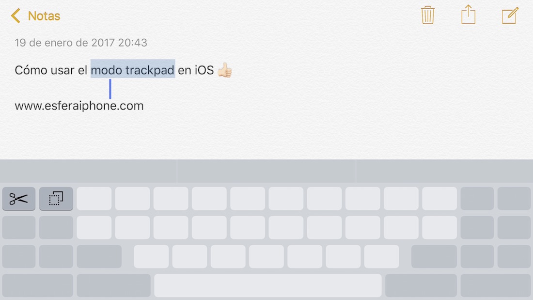 Cómo usar el modo trackpad en iOS