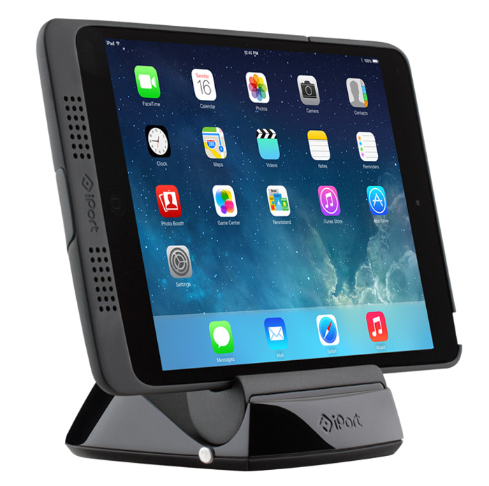 iPort Charge Case and Stand