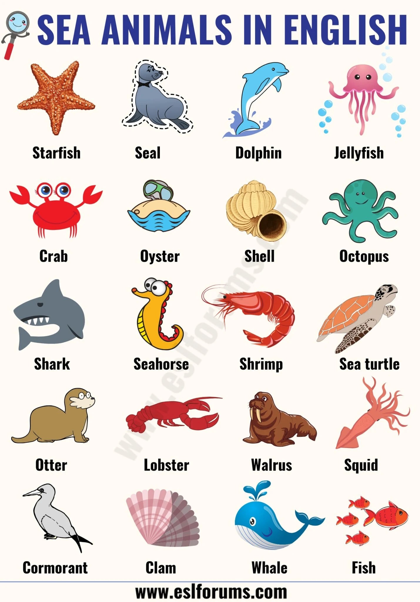 Sea animals: list of sea, ocean animals