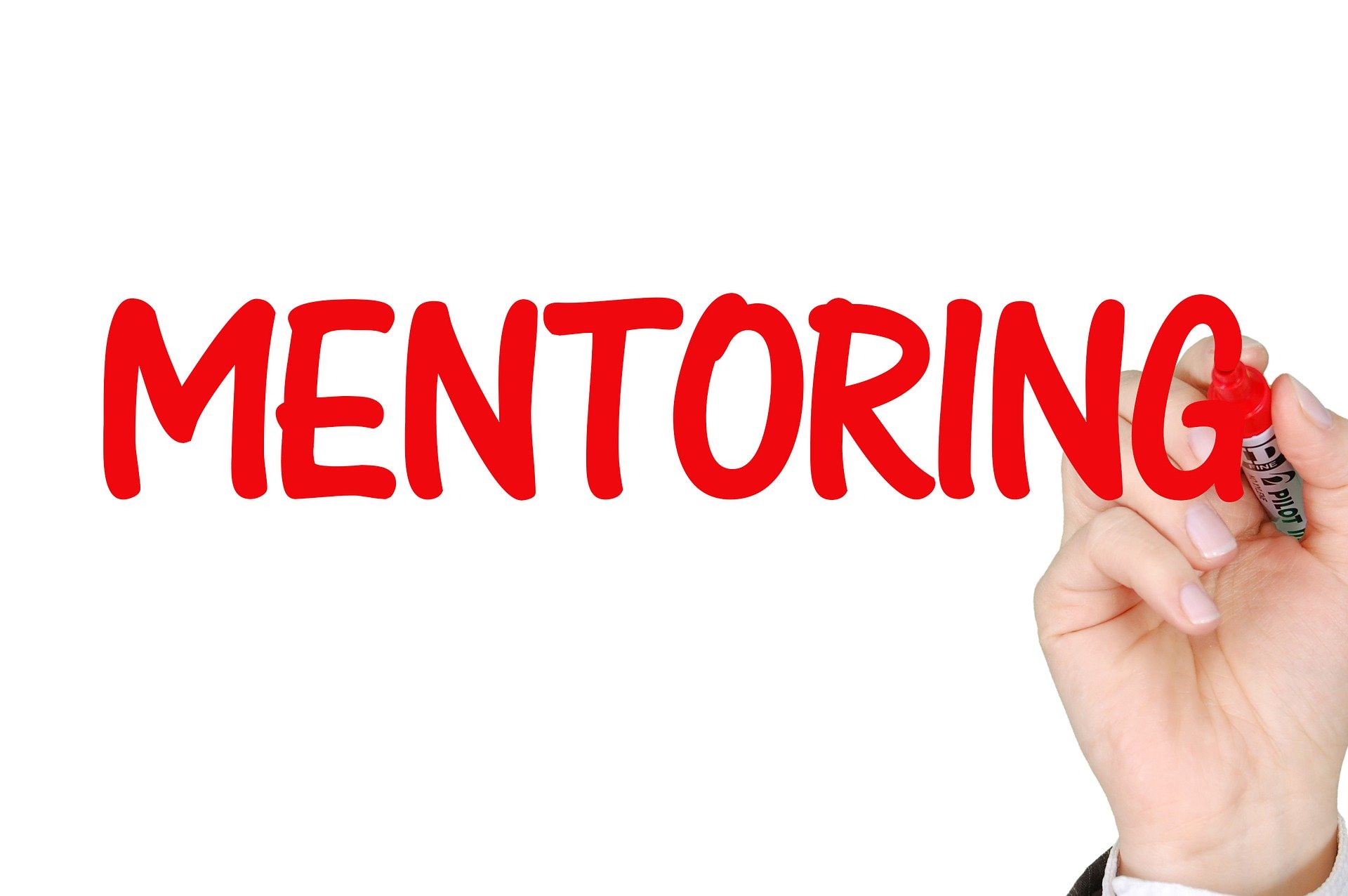 Proceso de Mentoring