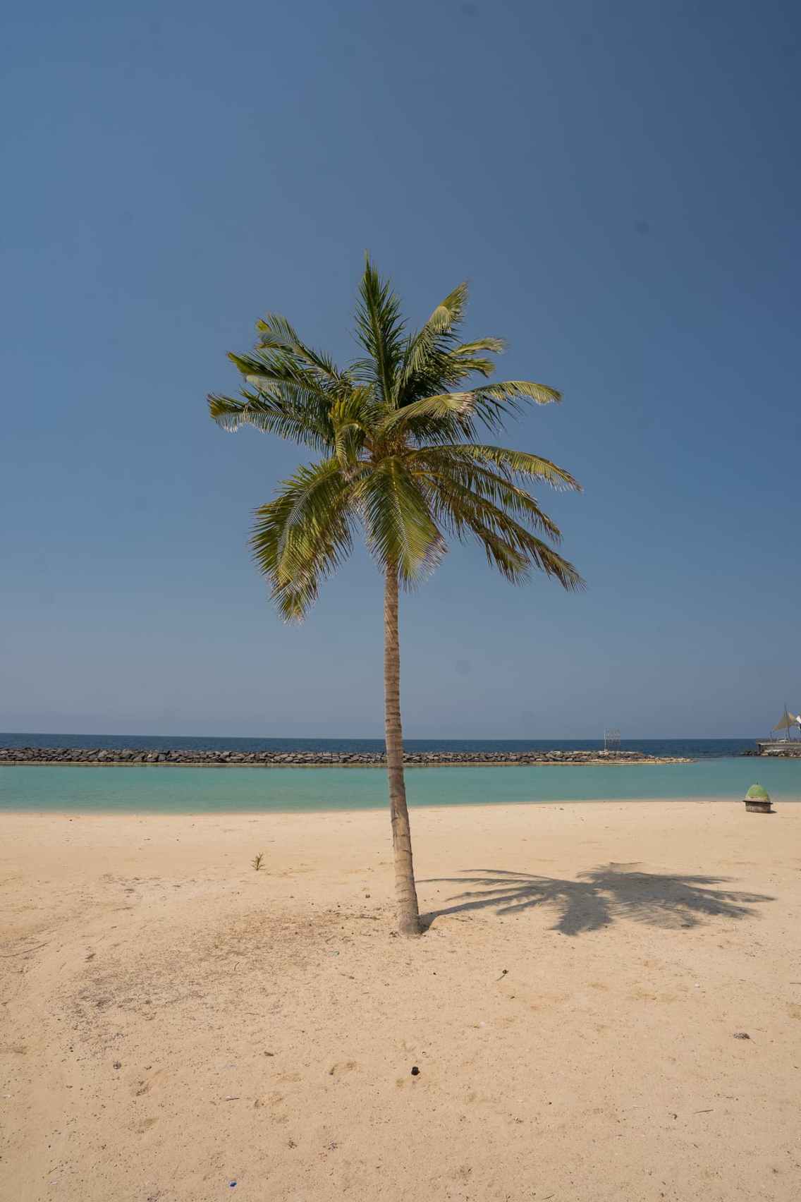 palmera-corniche-yeda Playa en Jeddah