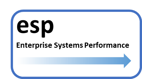Enterprise Systems Performance 