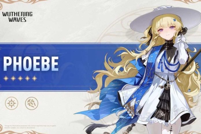 Panduan Lengkap Build Phoebe Wuwa (Wuthering Waves)
