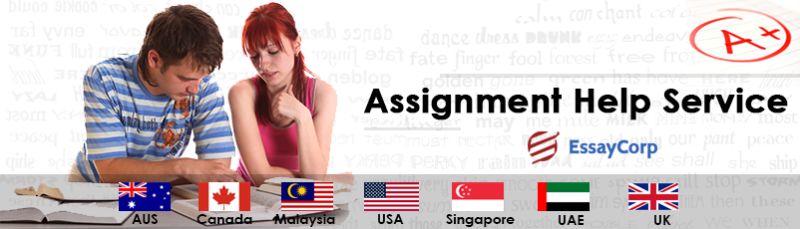 All Assignment Experts A Grade Assured - Premium Colorful Pattern Gallery - Retina