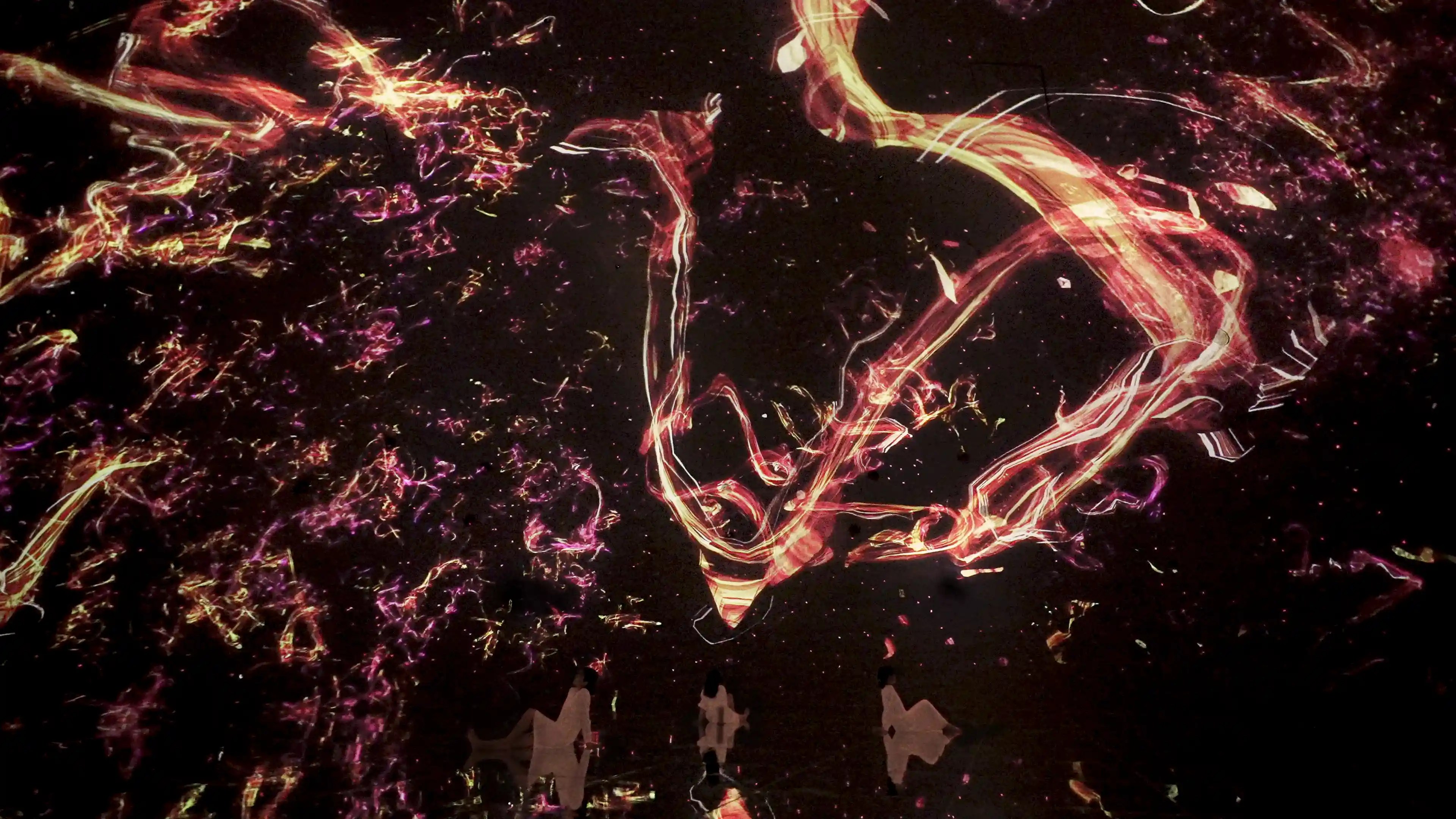 teamLab Kyoto 5