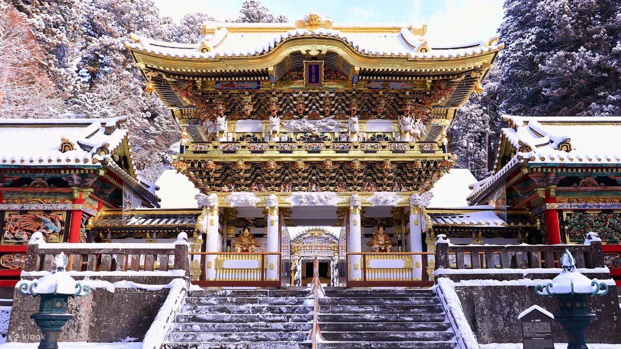 Nikko Toshogu Shrine Day Tour: Shared & Chartered Car Options