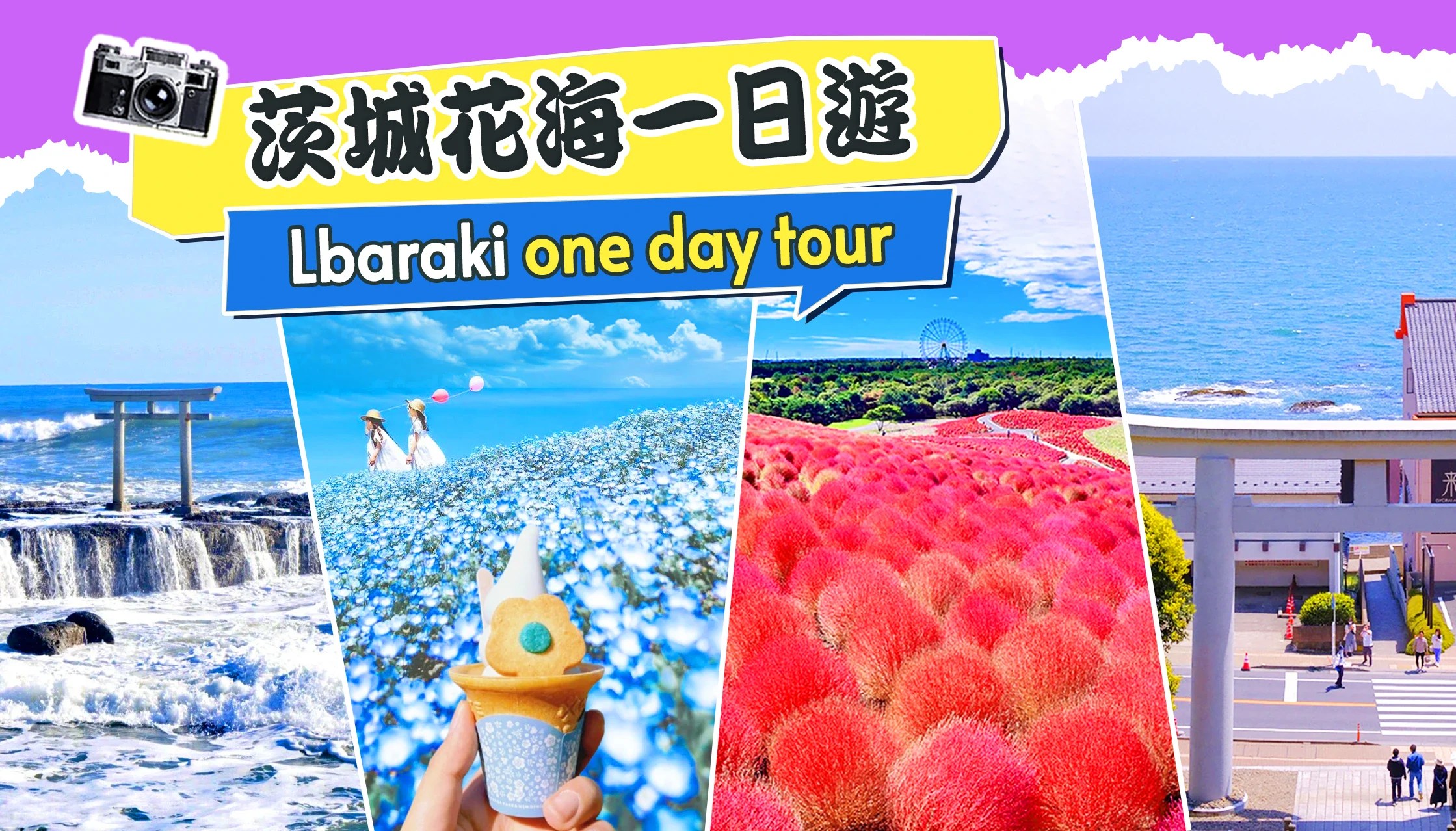 Ibaraki Day Tour: Flowers, Seafood, and Scenic Wonders! (From Tokyo)