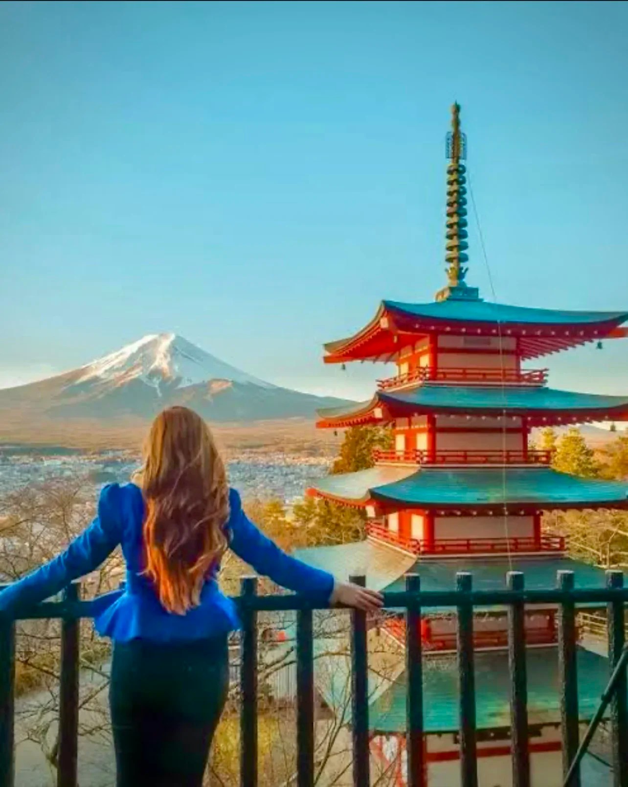 Mt Fuji & Hakone Private Day Tour from Tokyo - Unforgettable Views & Experiences