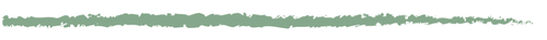 Short green horizontal decorative divider