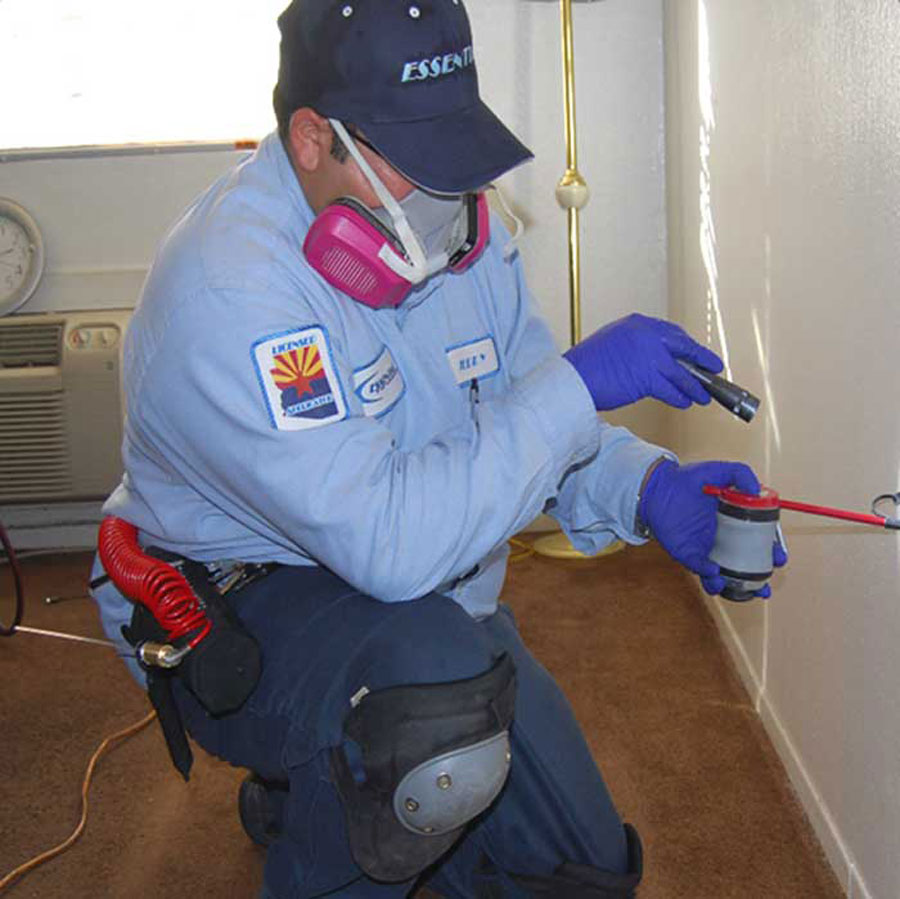 5 ways to prevent mice infestations