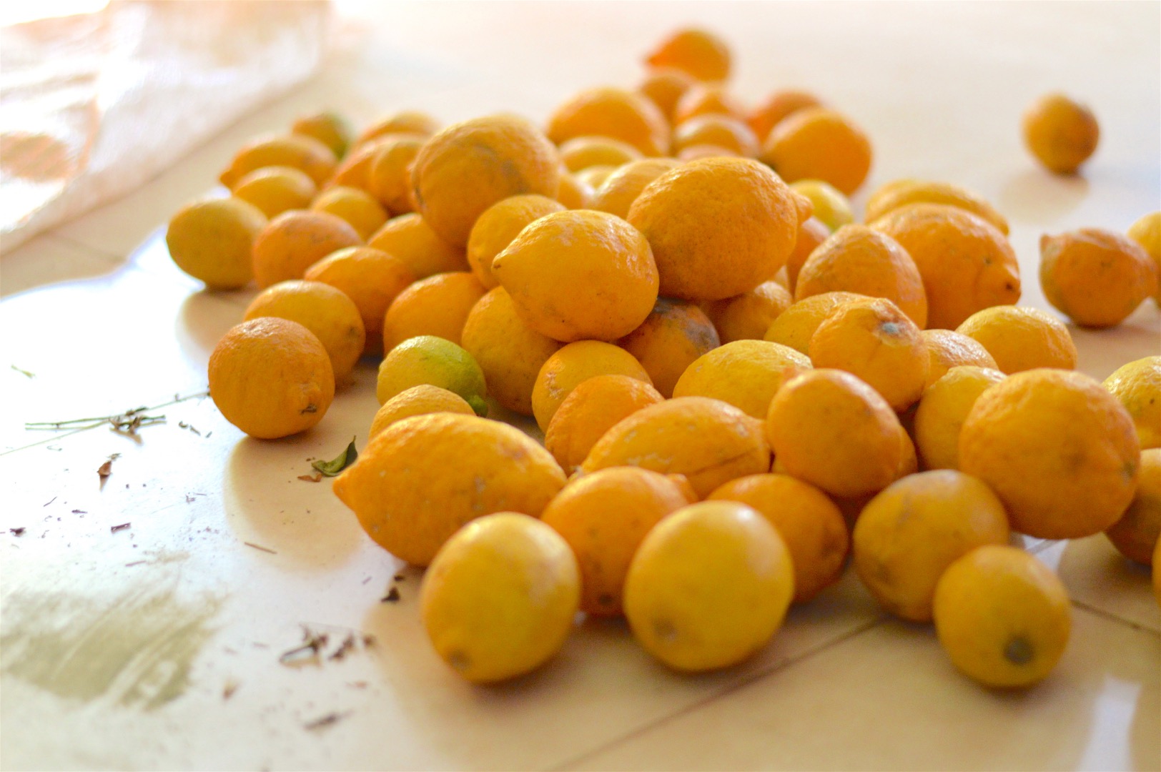 Lemon marmalade with honey Essential Reflections