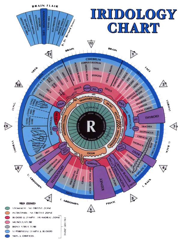 Iridology Shelly McCauley Essentials For Wellness Now 