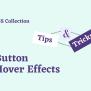 10+ CSS Button Hover Effects (latest Collection) - Essential Web Apps