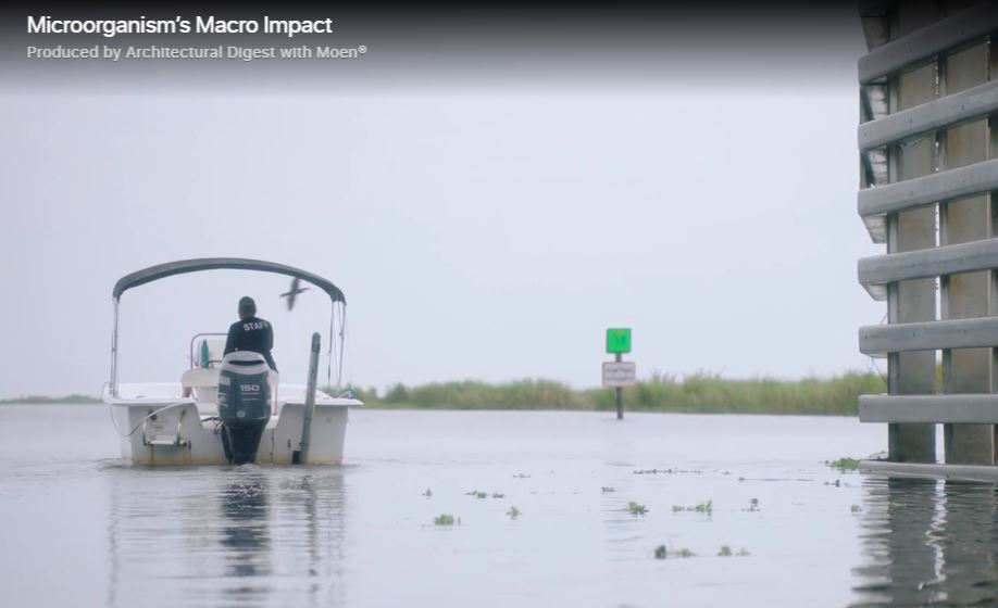 Microorganism’s Macro Impact