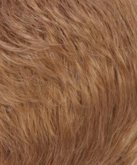 Estetica color R27