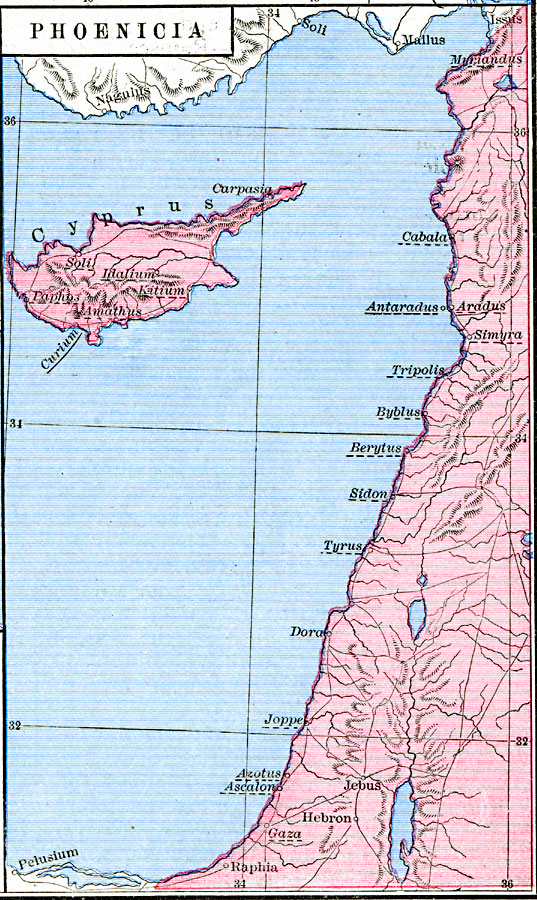 Phoenicia 6794 