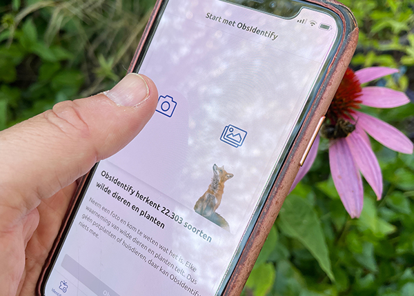 Klik!.. en dier of plant heeft een naam