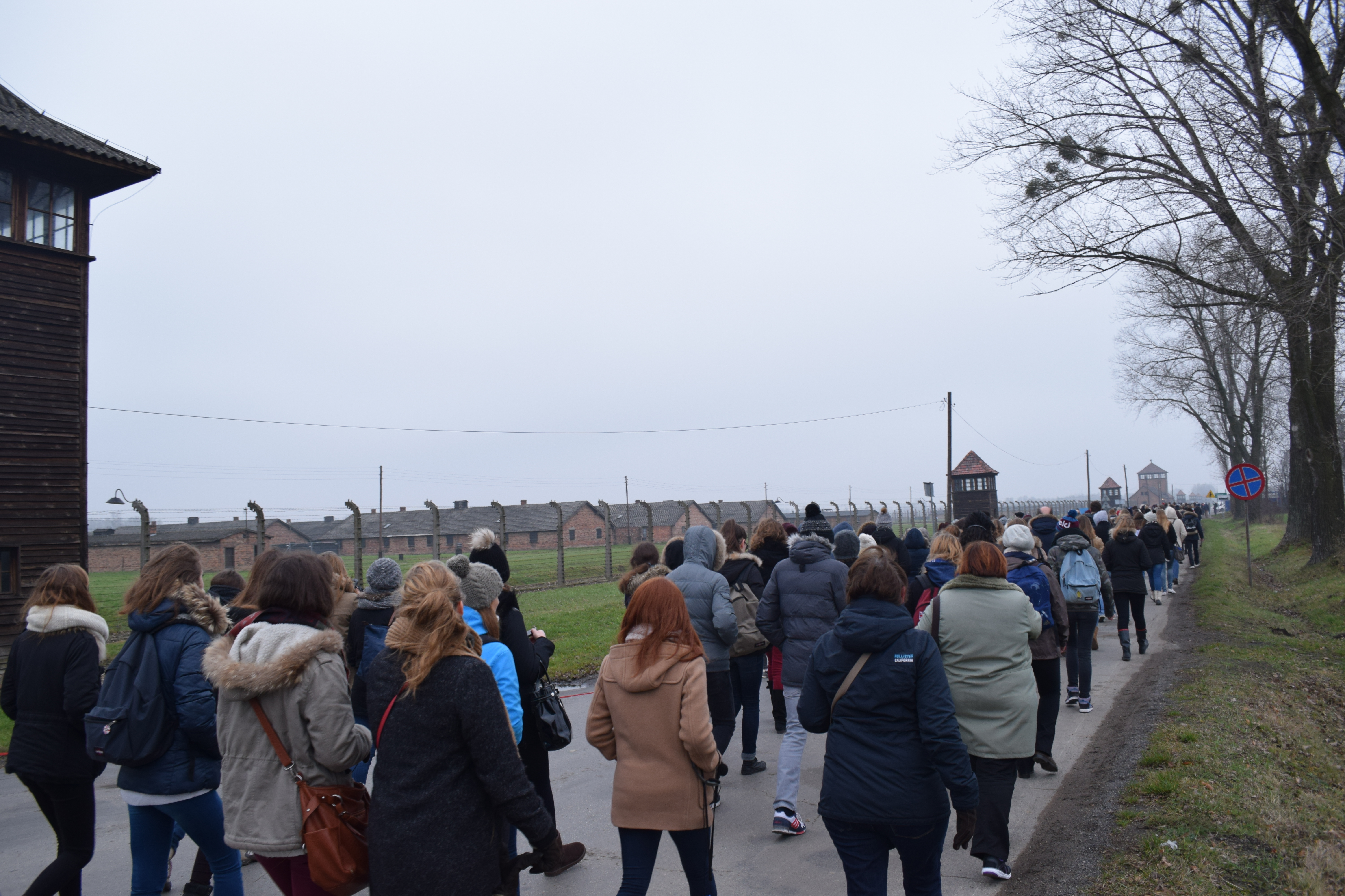 Marche silencieuse vers Auschwitz II - Birkenau