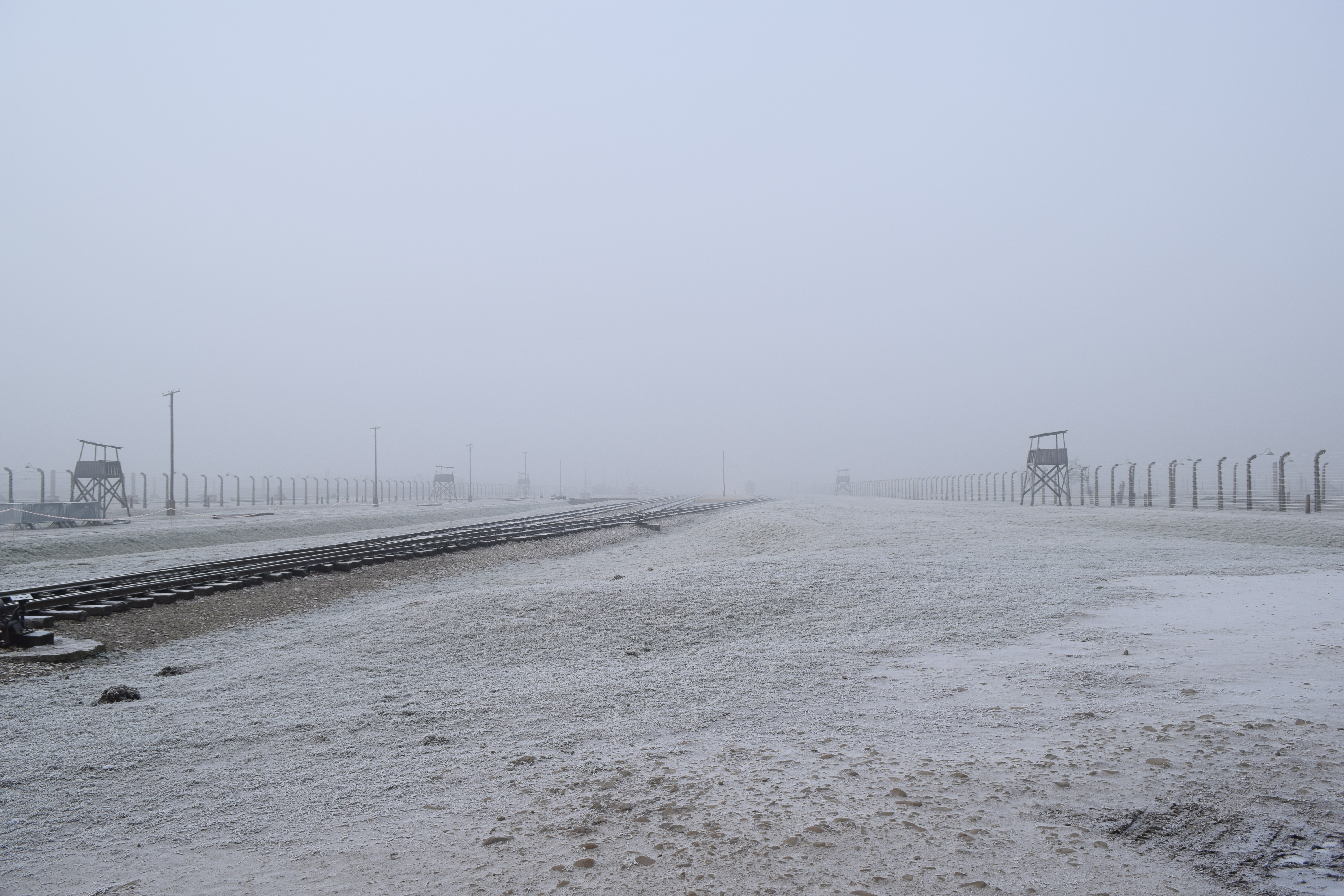 Rampe des Hongrois, Auschwitz-Birkenau